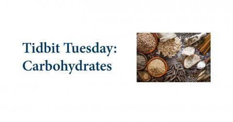 Tidbit Tuesday: Carbohydrates